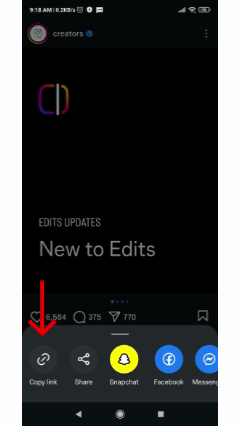 Click on Copy Link